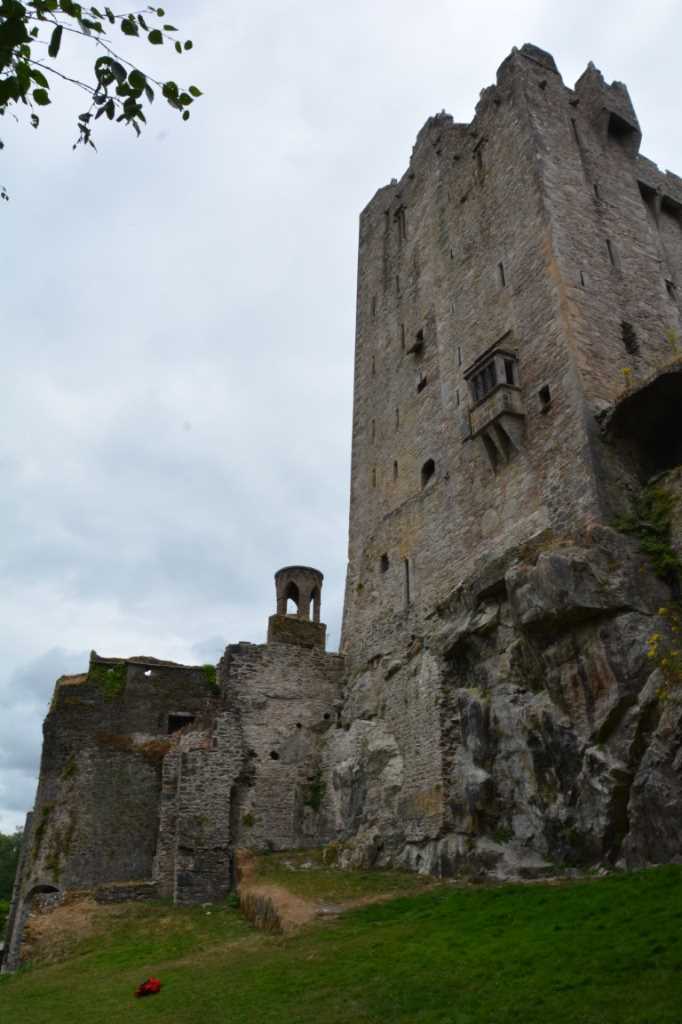 DSC_4615Mittel_.JPG